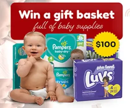 Baby Supplies Basket $100